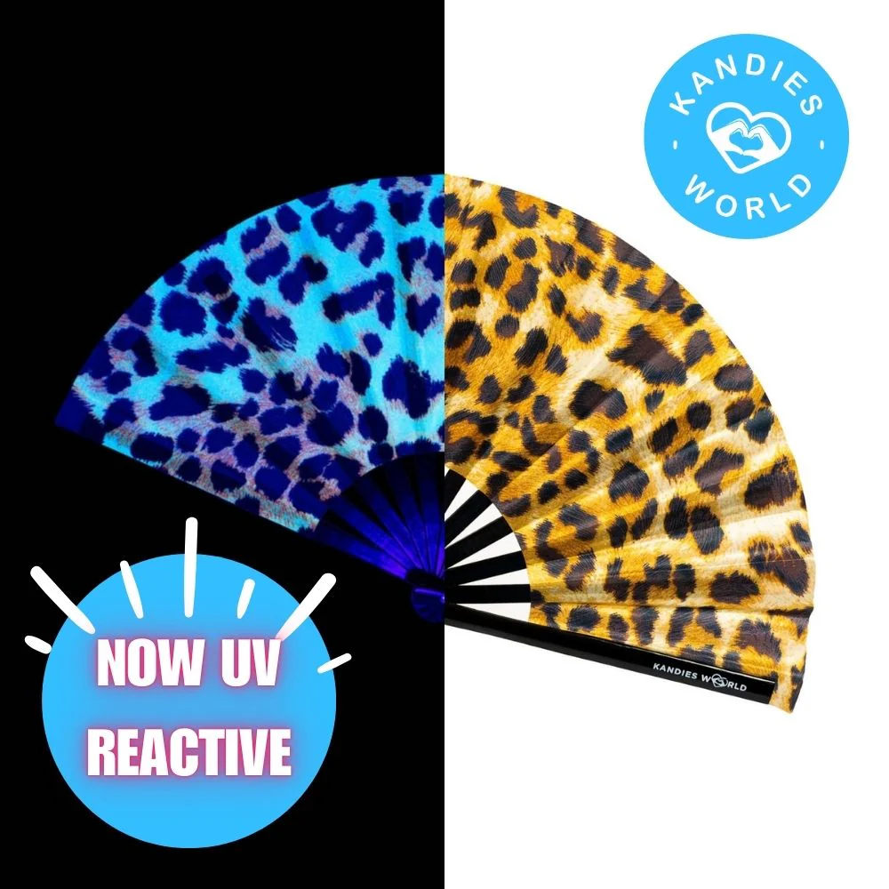 Cheetah - Image 4