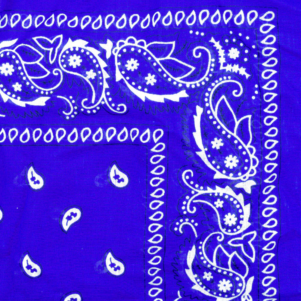 Vintage Paisley Bandana - Dimensions 20in x 20in - Image 11