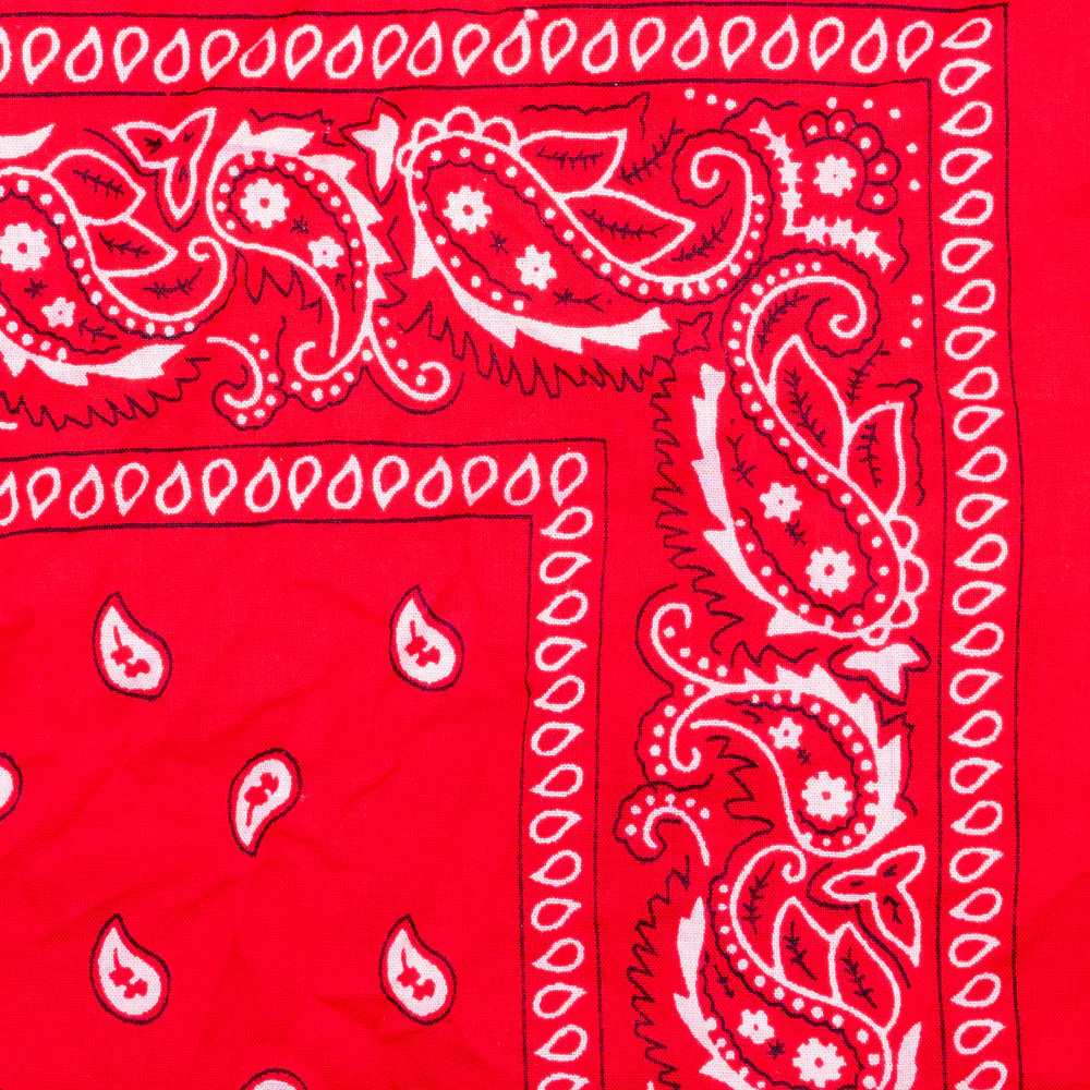 Vintage Paisley Bandana - Dimensions 20in x 20in - Image 14