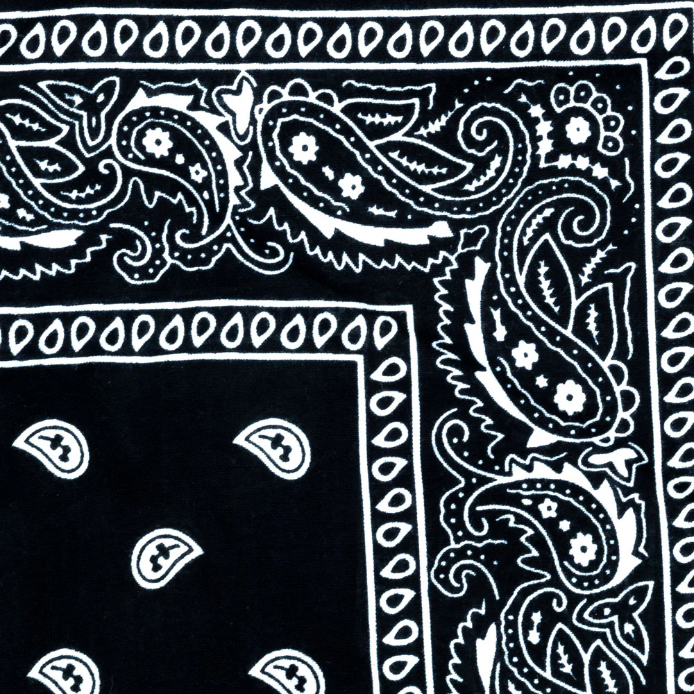 Vintage Paisley Bandana - Dimensions 20in x 20in - Image 17
