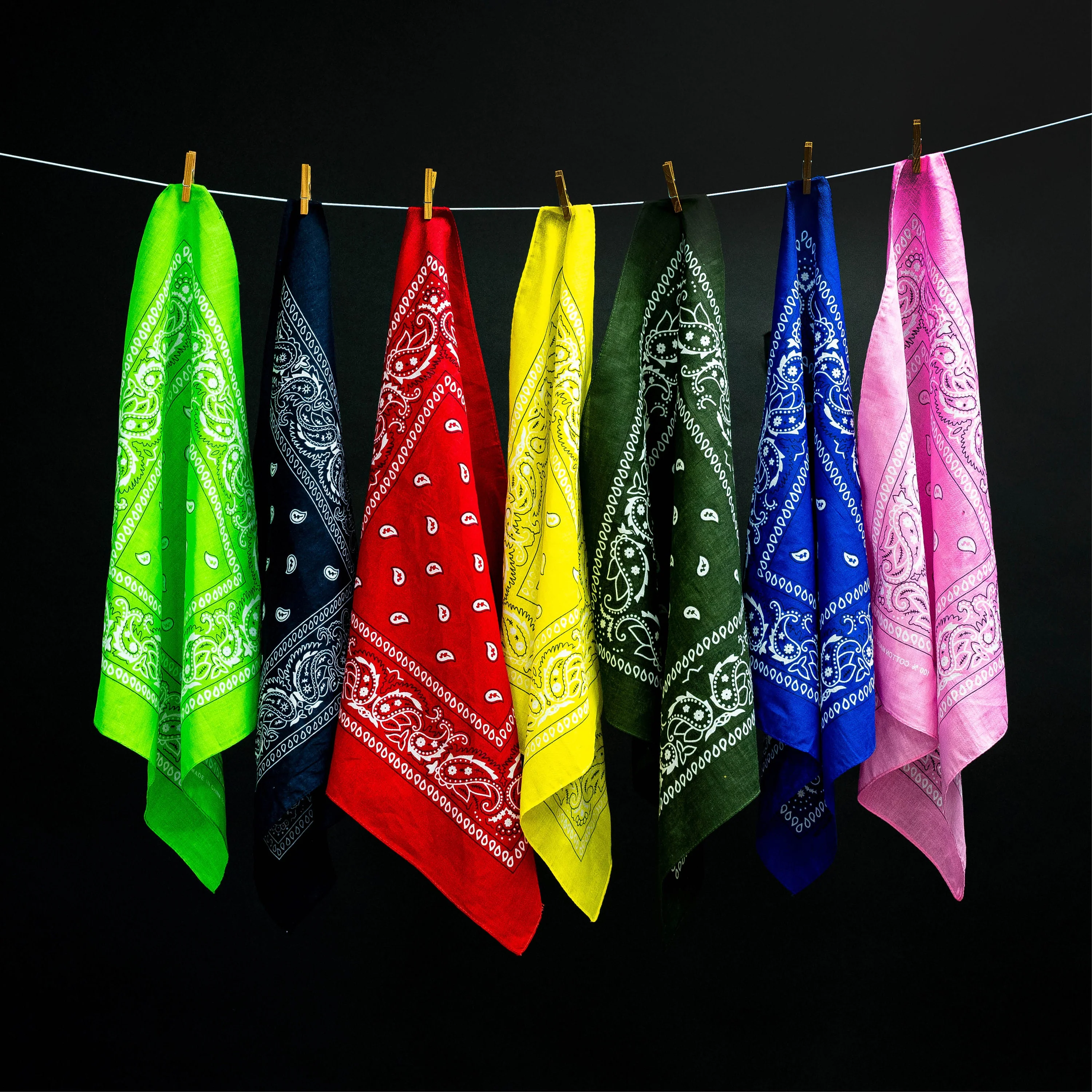 Vintage Paisley Bandana - Dimensions 20in x 20in - Image 2