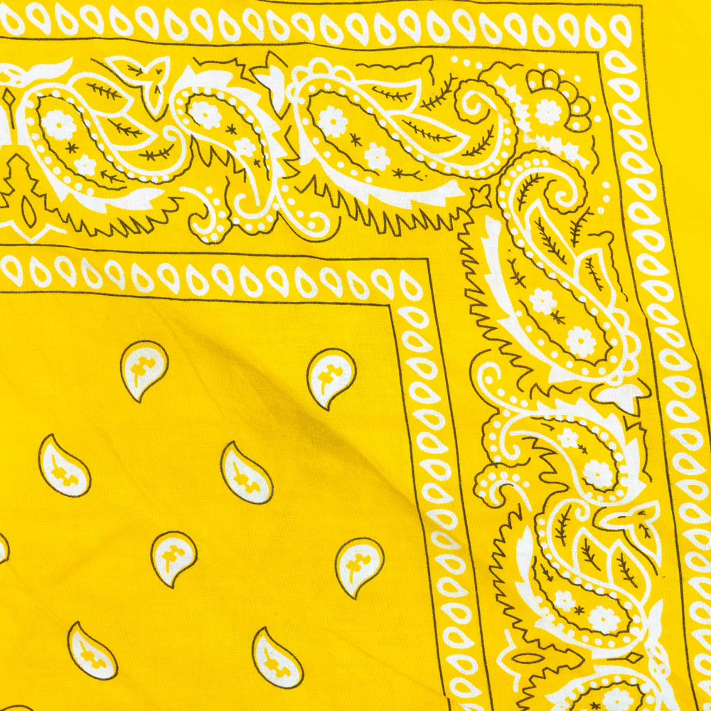 Vintage Paisley Bandana - Dimensions 20in x 20in - Image 9